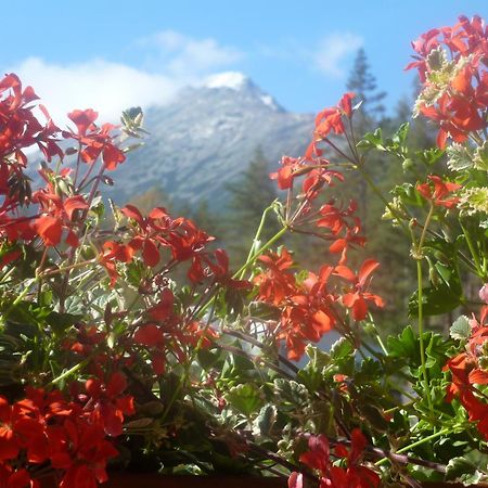Erika penzión Vysoke Tatry Bagian luar foto