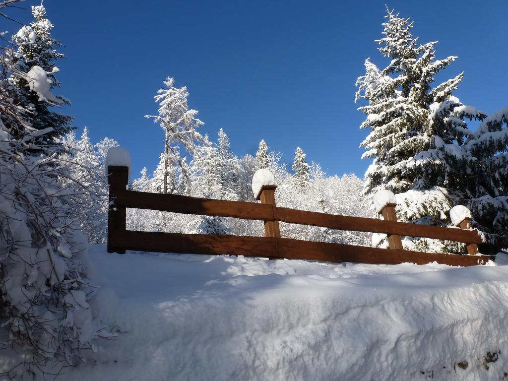 Erika penzión Vysoke Tatry Bagian luar foto