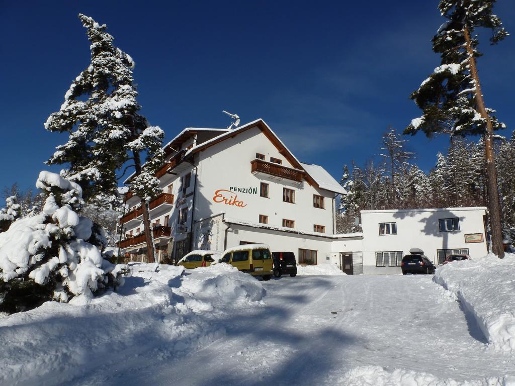 Erika penzión Vysoke Tatry Bagian luar foto