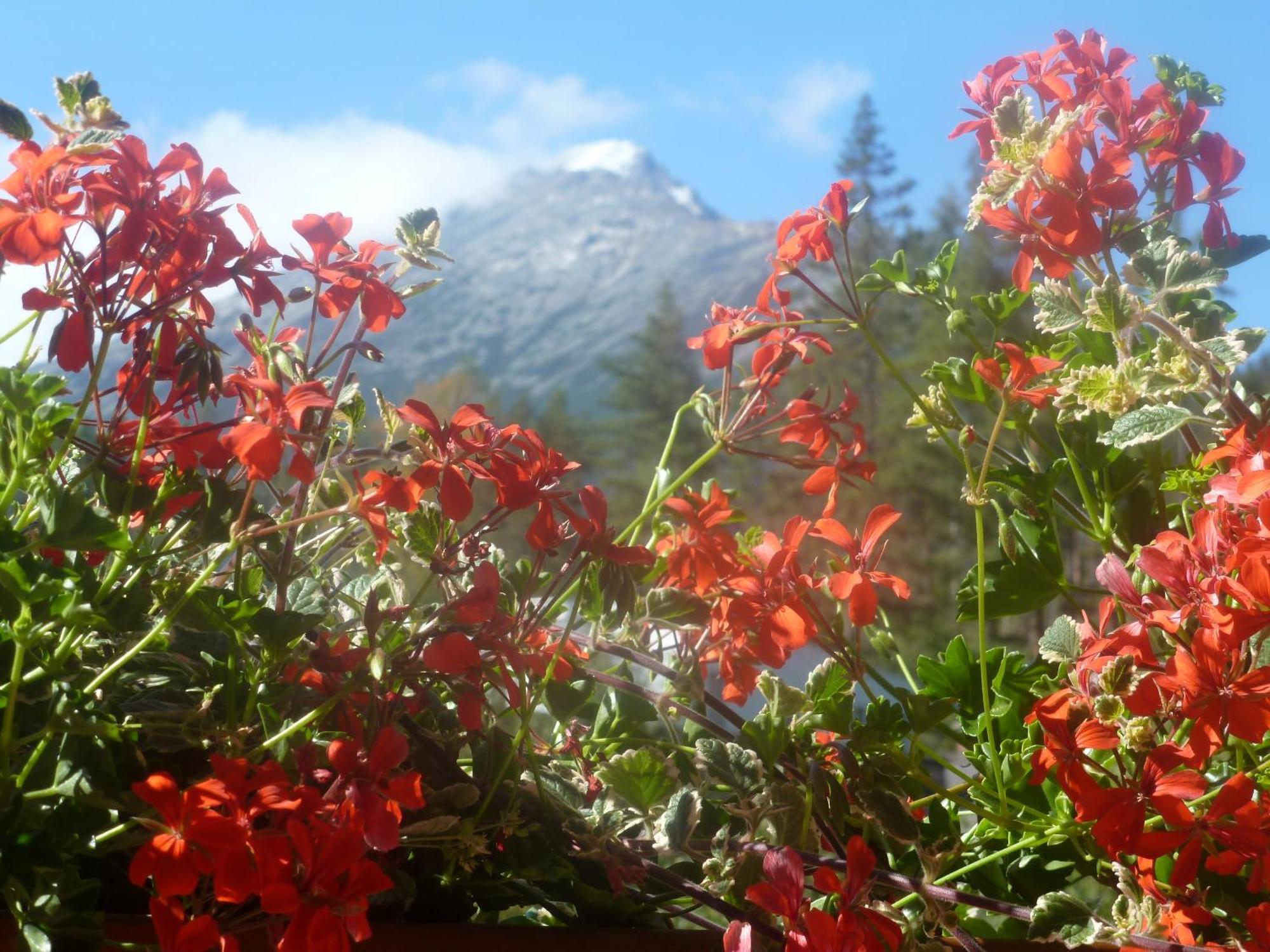 Erika penzión Vysoke Tatry Bagian luar foto